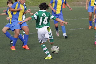 九游平台-球员是否通过预判跑位优化传球角度与强度，球员跑动距离怎么测的